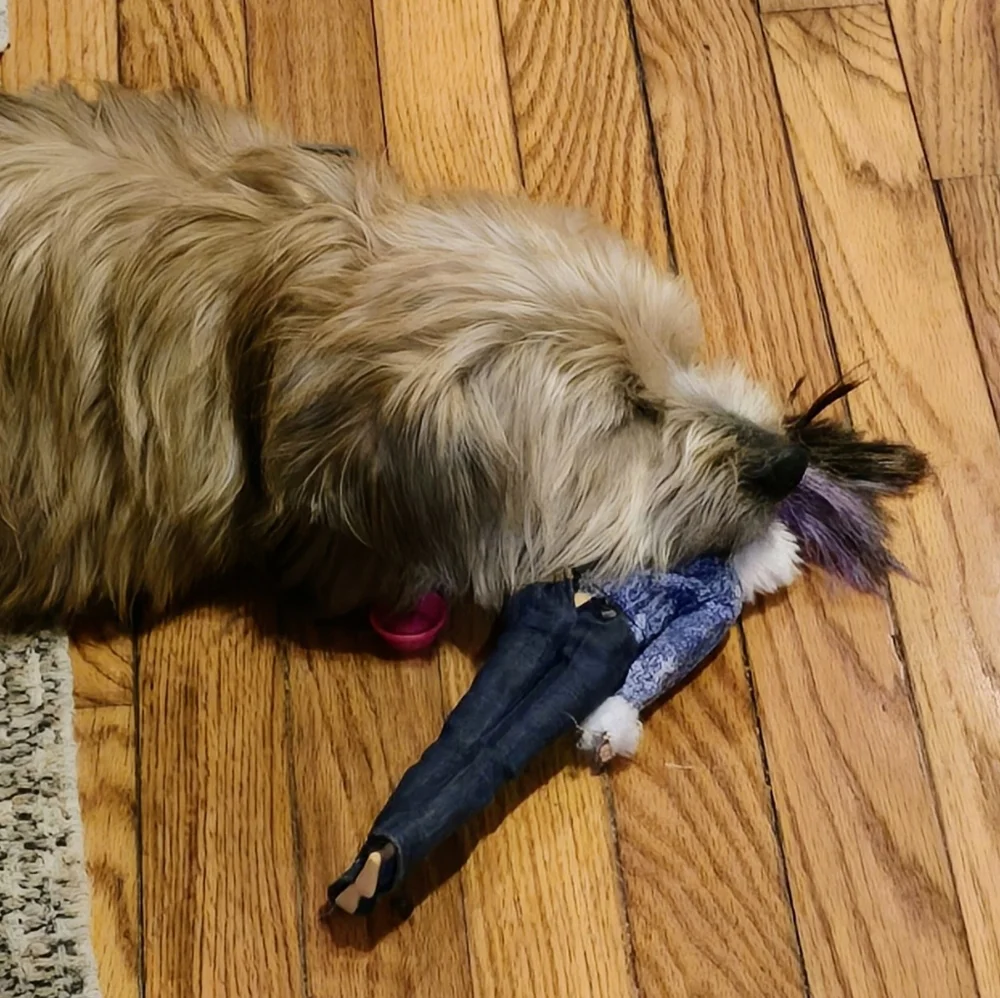 Anna! - Picture 3 of 4